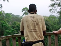 Canopy Walkway Kakum NP