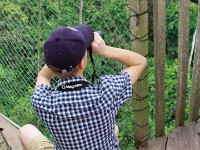 Canopy Walkway Kakum NP