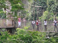 Canopy Walkway Kakum NP