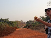 Mole NP