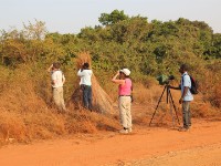 Mole NP
