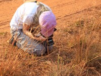 Mole NP