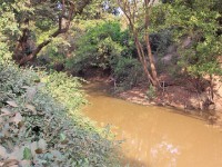 Mole NP