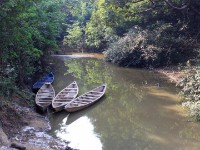 Mole NP