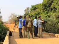Mole NP