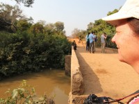 Mole NP