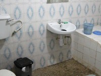 Mole Hotel