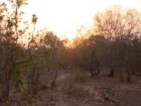 Mole NP day 2