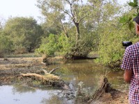 Mole NP