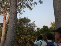 Mole NP