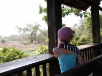 Mole NP