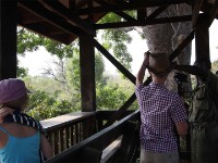 Mole NP