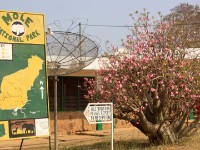 Mole NP