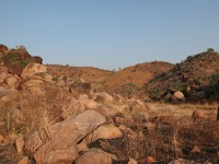 Tongo Hills