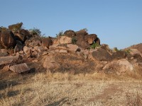 Tongo Hills