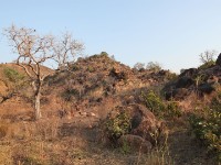 Tongo Hills