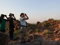 Tongo Hills