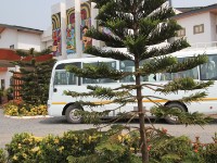 Alexis Hotel