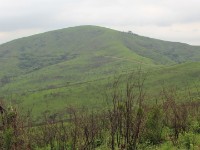 Hluhluwe Game Reserve