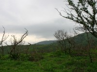 Hluhluwe Game Reserve
