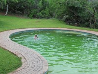 Mantuma Camp Mkuze Game Reserve