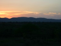 Mkuze Game Reserve