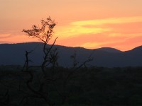 Mkuze Game Reserve