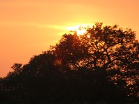 Mkuze Game Reserve