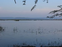Nsumo Pan Mkuze Game Reserve