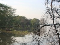 Nsumo Pan Mkuze Game Reserve