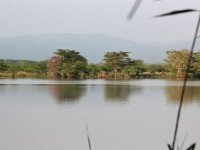 Nsumo Pan Mkuze Game Reserve