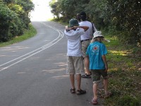 Ongoye Forest