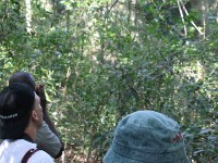 Ongoye Forest