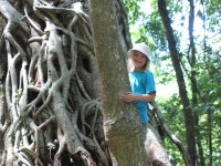 Dlinza Forest