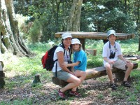 Dlinza Forest