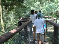 Dlinza Forest