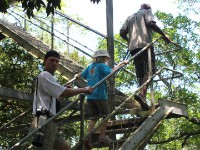 Dlinza Forest