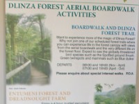 Dlinza Forest