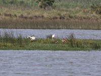 Amatikulu Nature Reserve