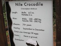 Crocodile Centre St Lucia