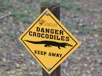 Crocodile Centre St Lucia