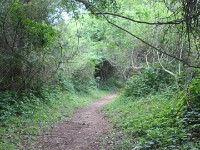 iGwalagwala Trail
