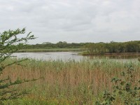 iGwalagwala Trail