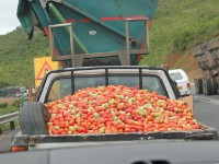 Mkhuze to Wakkerstroom