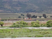 Wakkerstroom