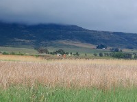 Wakkerstroom