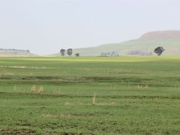Wakkerstroom