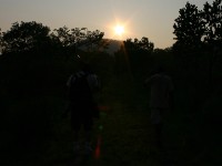 Dzalanyama Forest Reserve