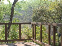 Dzalanyama Forest Lodge