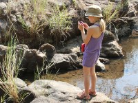 Dzalanyama Forest Lodge